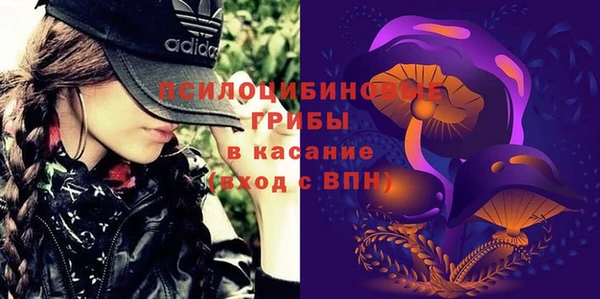 круглые Алексеевка