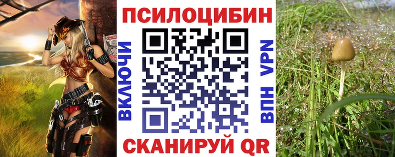 Псилоцибиновые грибы мухоморы  ОМГ ОМГ сайт  Уварово 